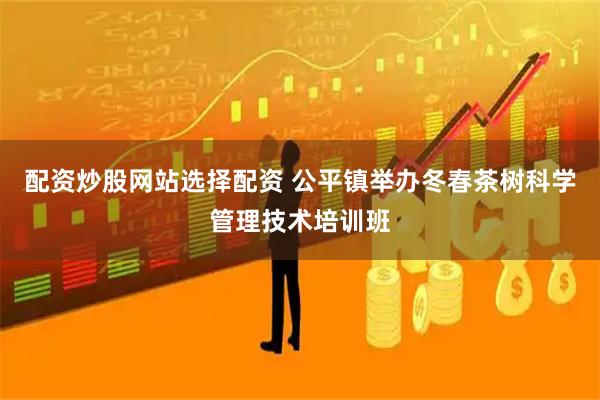 配资炒股网站选择配资 公平镇举办冬春茶树科学管理技术培训班